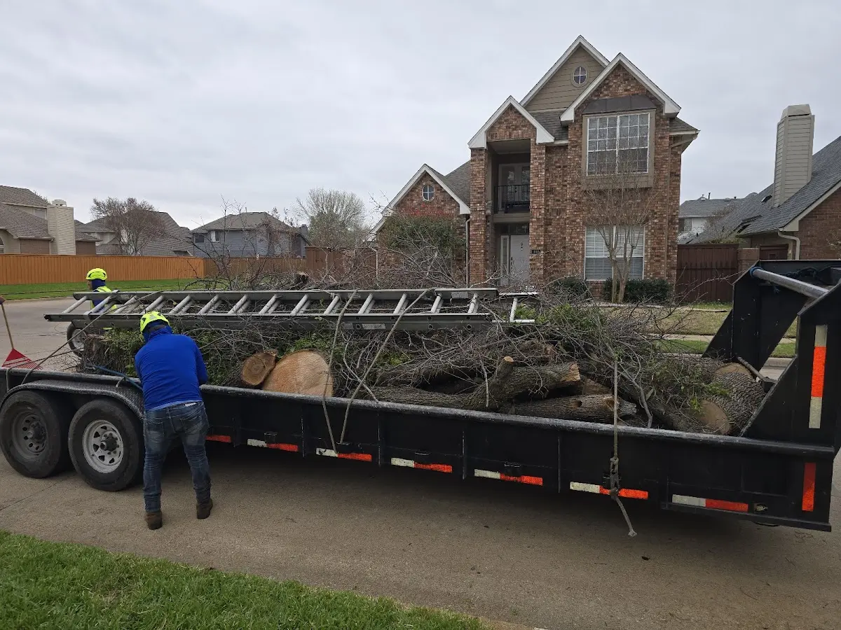 Expert Tree Fertilization with proper safety equipment in Jachin